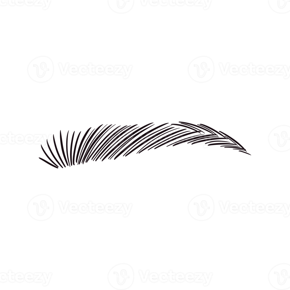 Black Eyebrow Drawing png