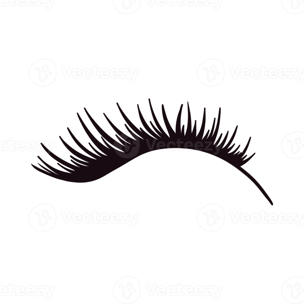 Black Sexy Lash Drawing png