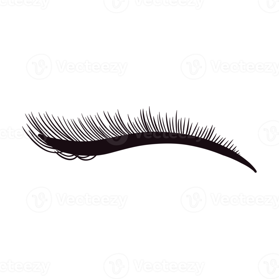Black Lashes Illustration png