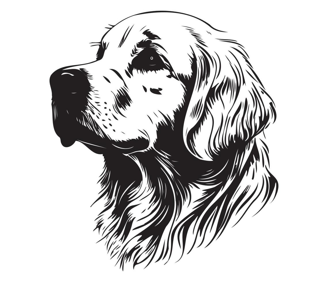 Golden Retriever Face, Silhouette Dog Face, black and white Golden Retriever vector