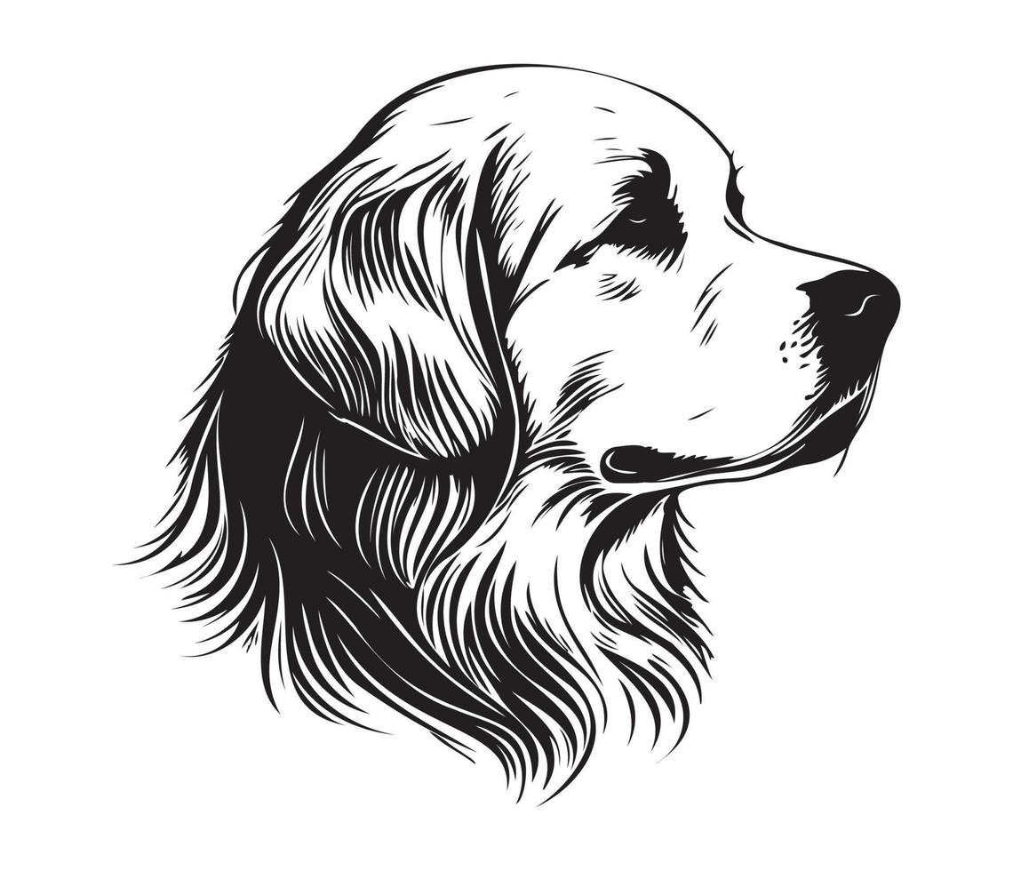 Golden Retriever Face, Silhouette Dog Face, black and white Golden Retriever vector