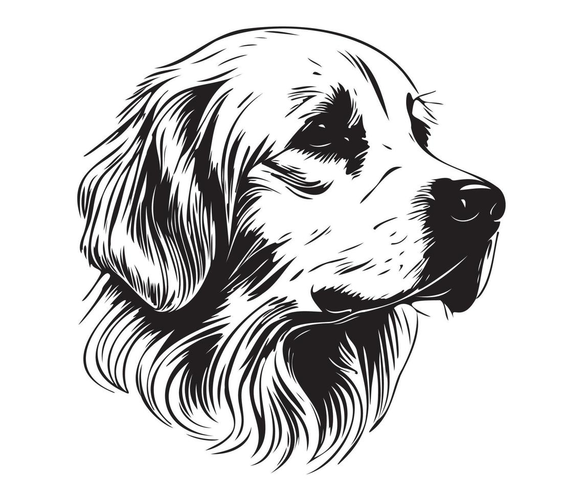 Golden Retriever Face, Silhouette Dog Face, black and white Golden Retriever vector