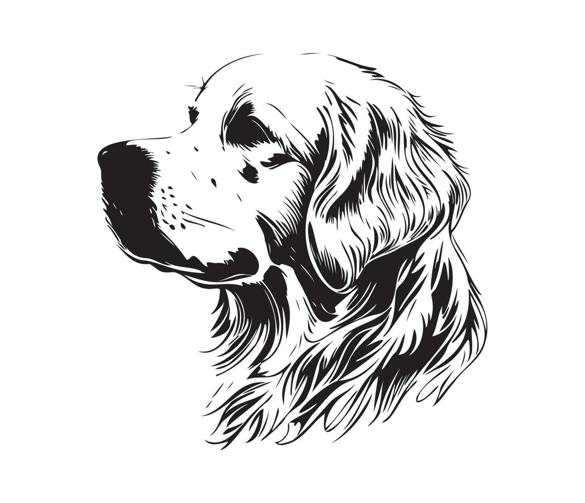 Golden Retriever Face, Silhouette Dog Face, black and white Golden Retriever vector