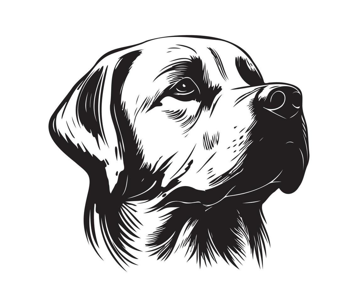 Labrador Retriever Face, Silhouette Dog Face, black and white Labrador Retriever vector