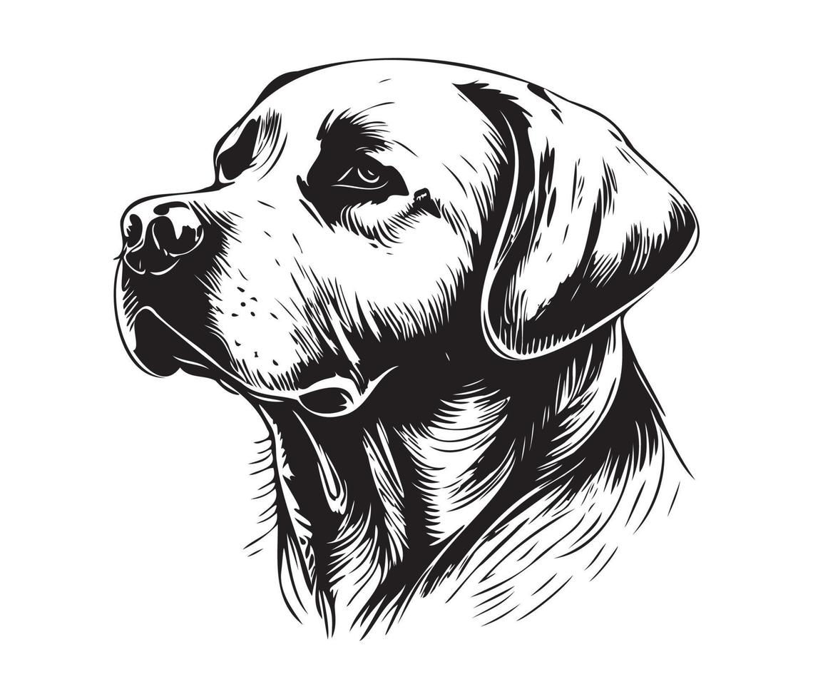 Labrador Vector Art, Icons, and Graphics for Free Download