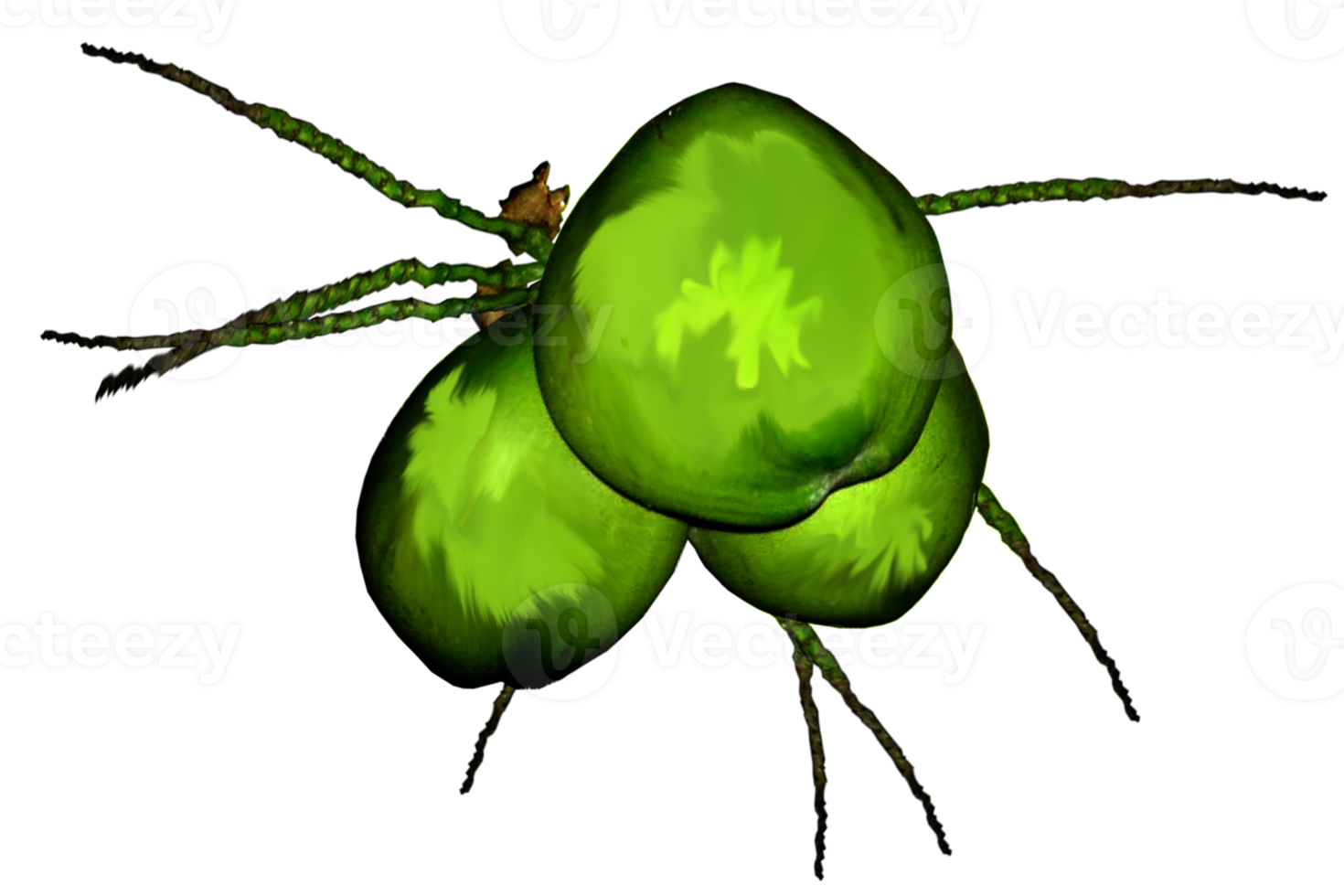 logo image coconuts 22924955 PNG