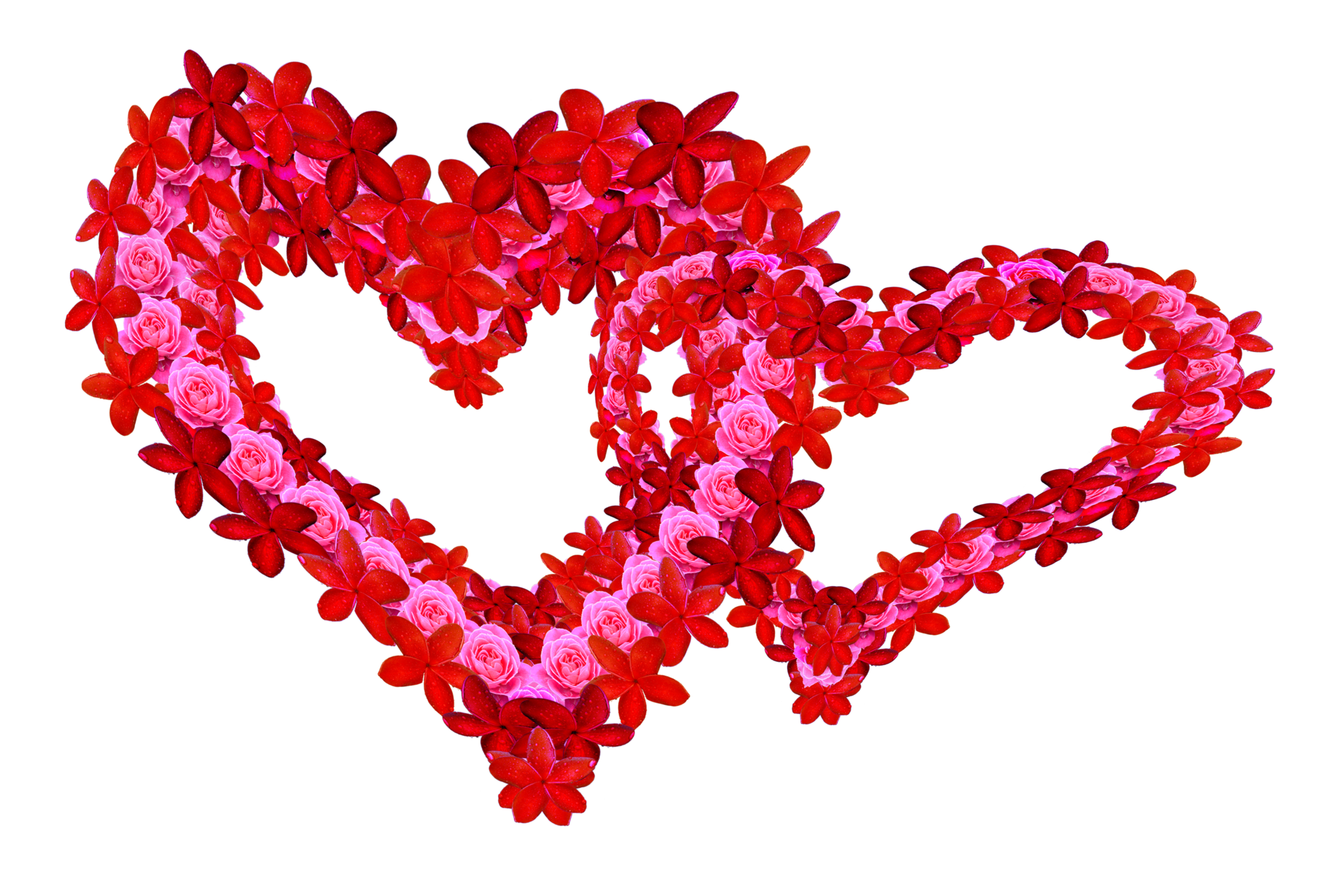 decoration-pattern-symbol-by-two-type-flowers-one-of-it-roses-22924976-png