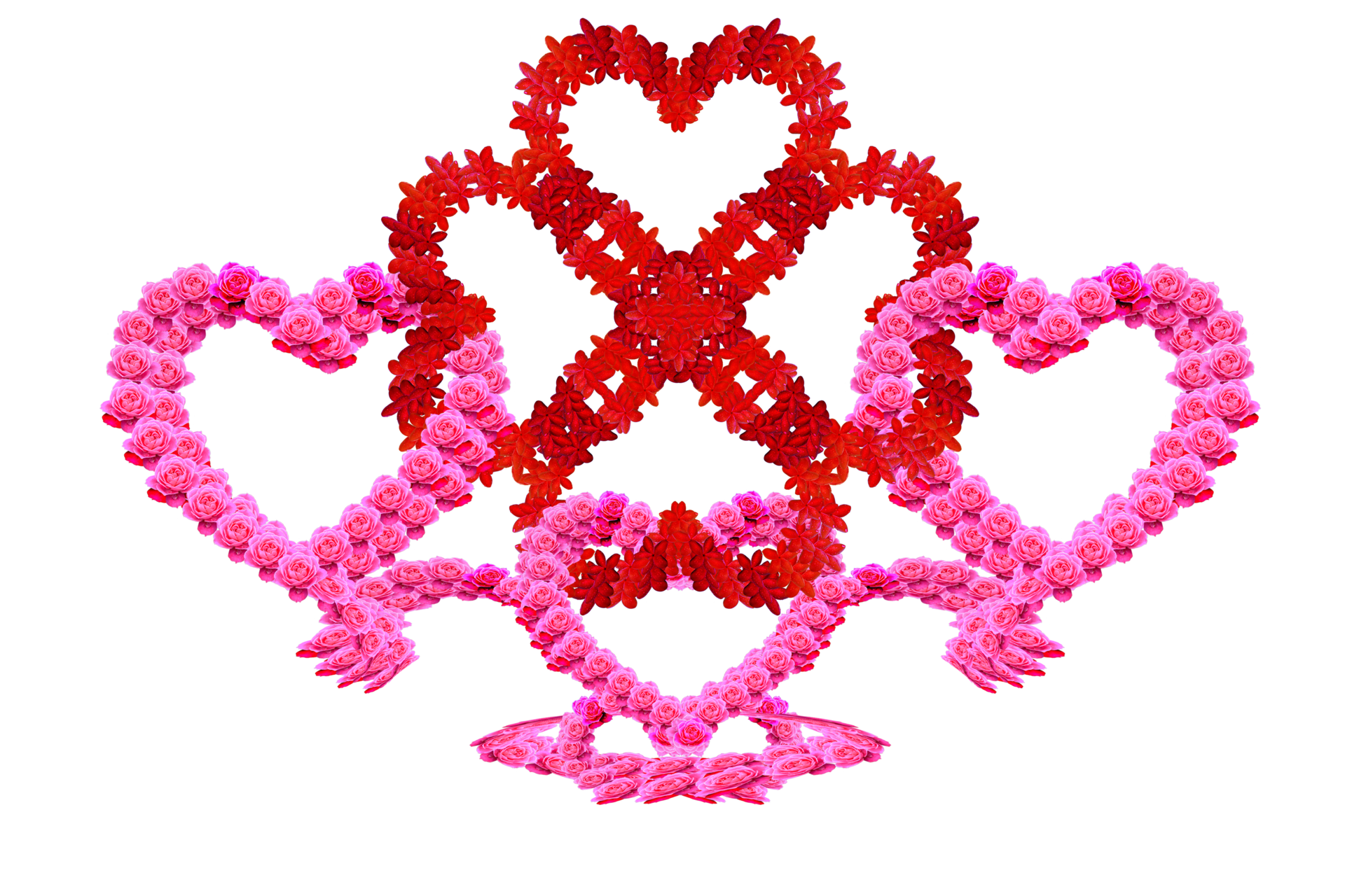 free-decoration-pattern-symbol-by-two-type-flowers-one-of-it-roses