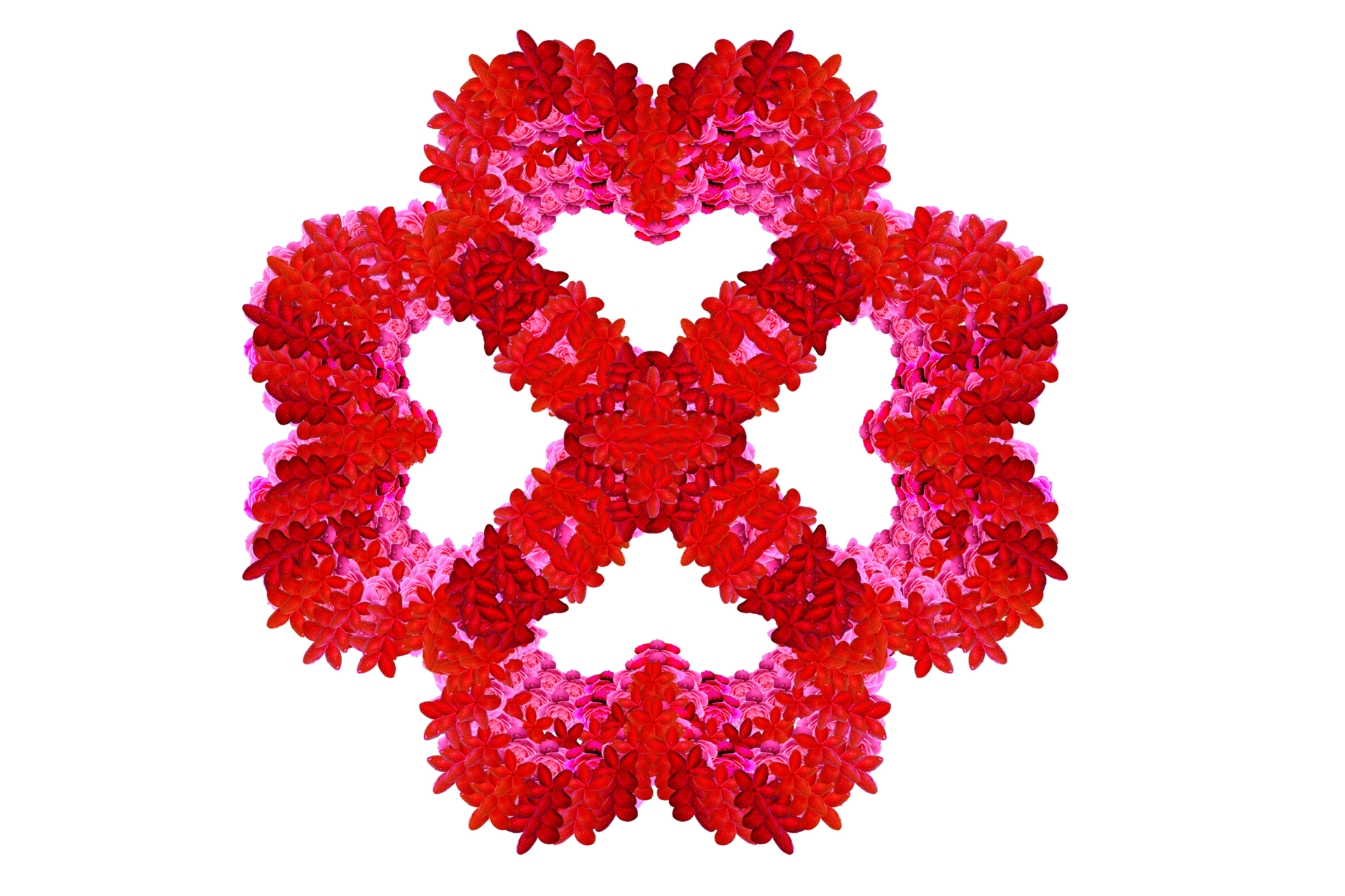 free-decoration-pattern-symbol-by-two-type-flowers-one-of-it-roses
