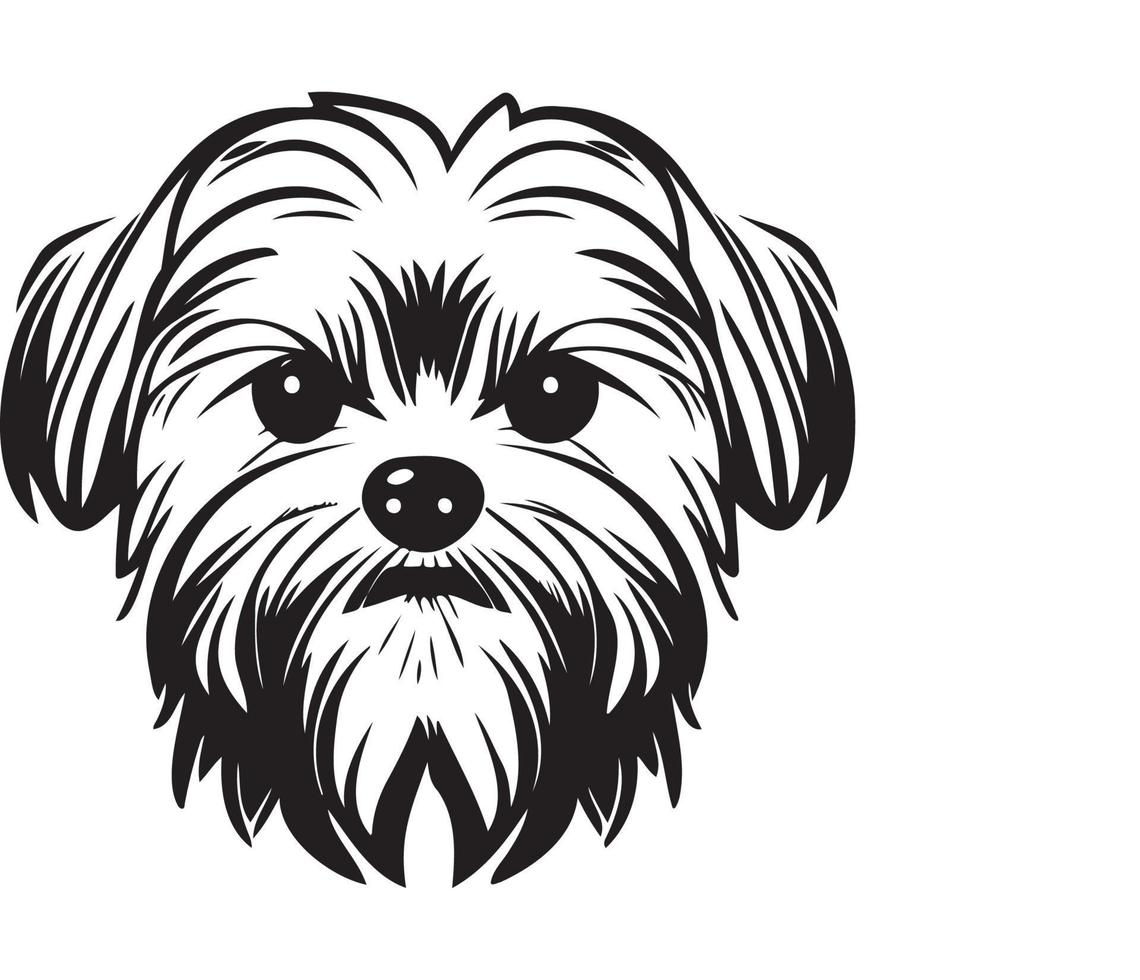 Maltese Face, Silhouette Dog Face, black and white Maltese vector