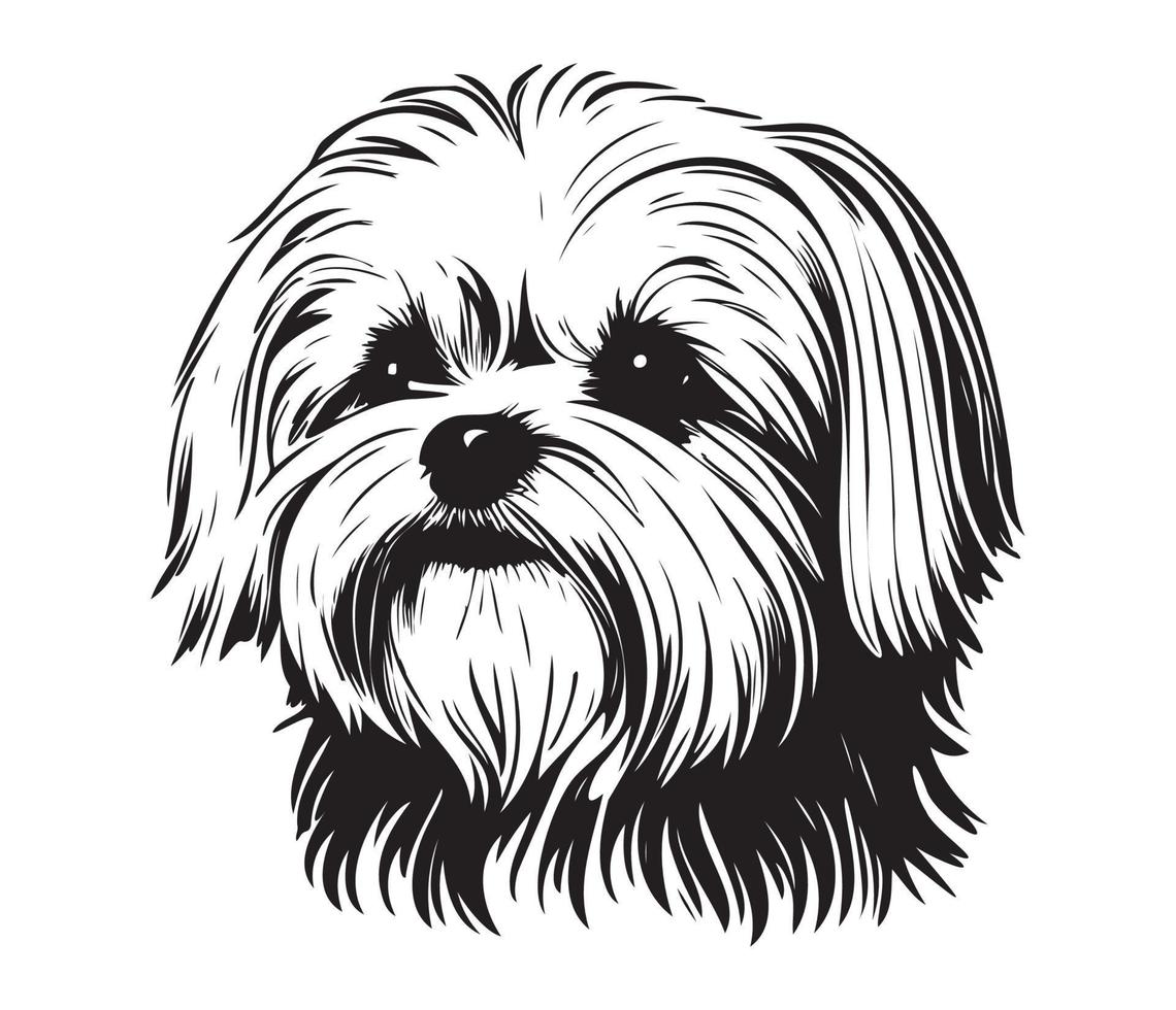 Maltese Face, Silhouette Dog Face, black and white Maltese vector