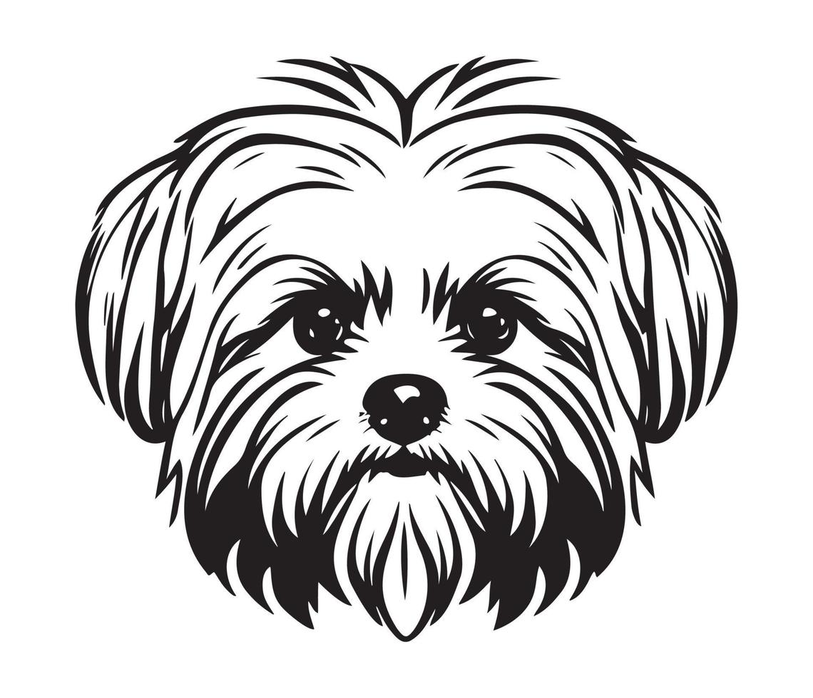 Maltese Face, Silhouette Dog Face, black and white Maltese vector