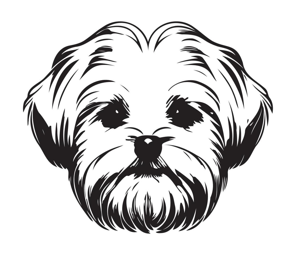 Maltese Face, Silhouette Dog Face, black and white Maltese vector