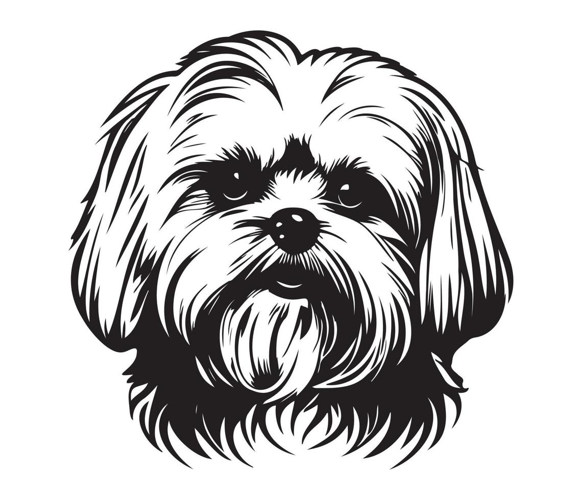 Maltese Face, Silhouette Dog Face, black and white Maltese vector