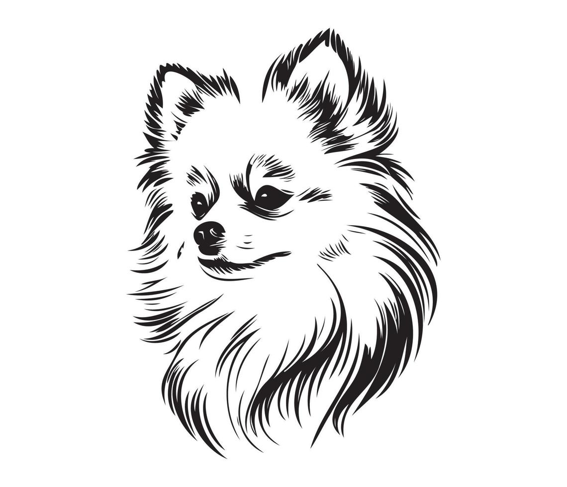 pomeranio rostro, silueta perro rostro, negro y blanco pomeranio vector