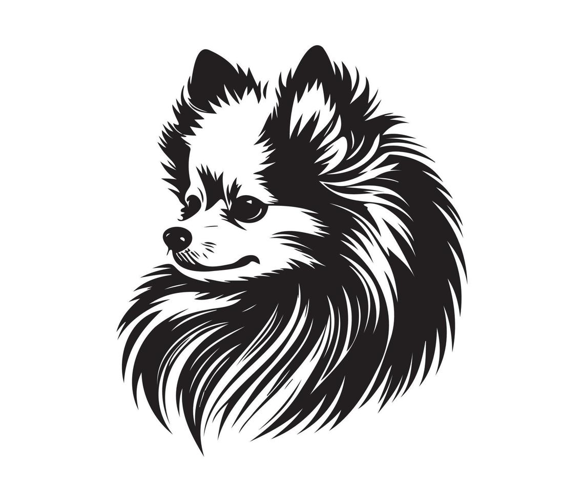 Pomeranian Face, Silhouette Dog Face, black and white Pomeranian vector