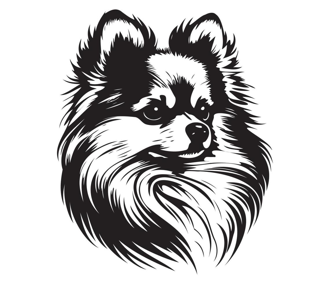 pomeranio rostro, silueta perro rostro, negro y blanco pomeranio vector