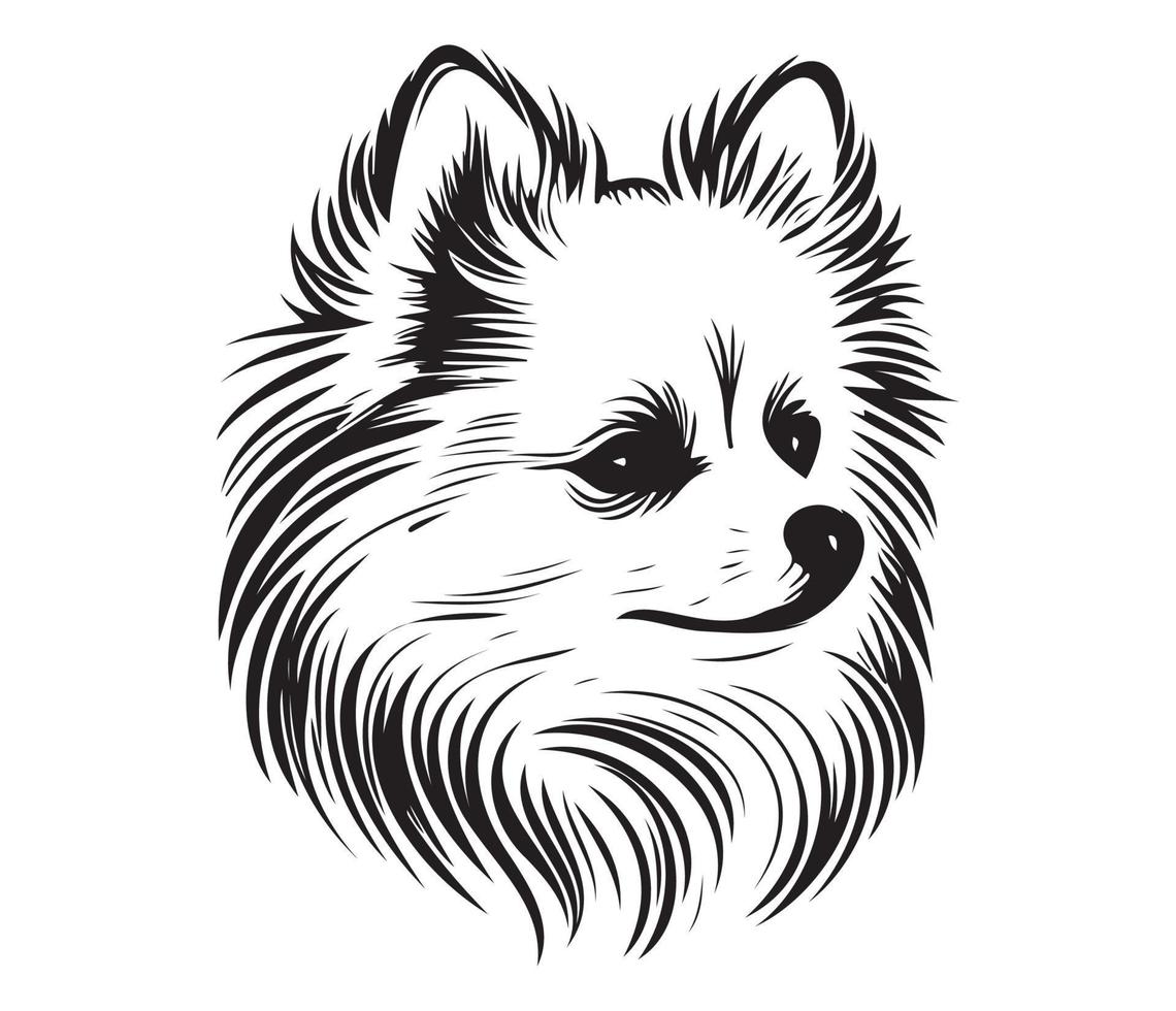 Pomeranian Face, Silhouette Dog Face, black and white Pomeranian vector