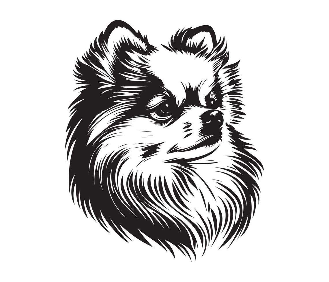 Pomeranian Face, Silhouette Dog Face, black and white Pomeranian vector