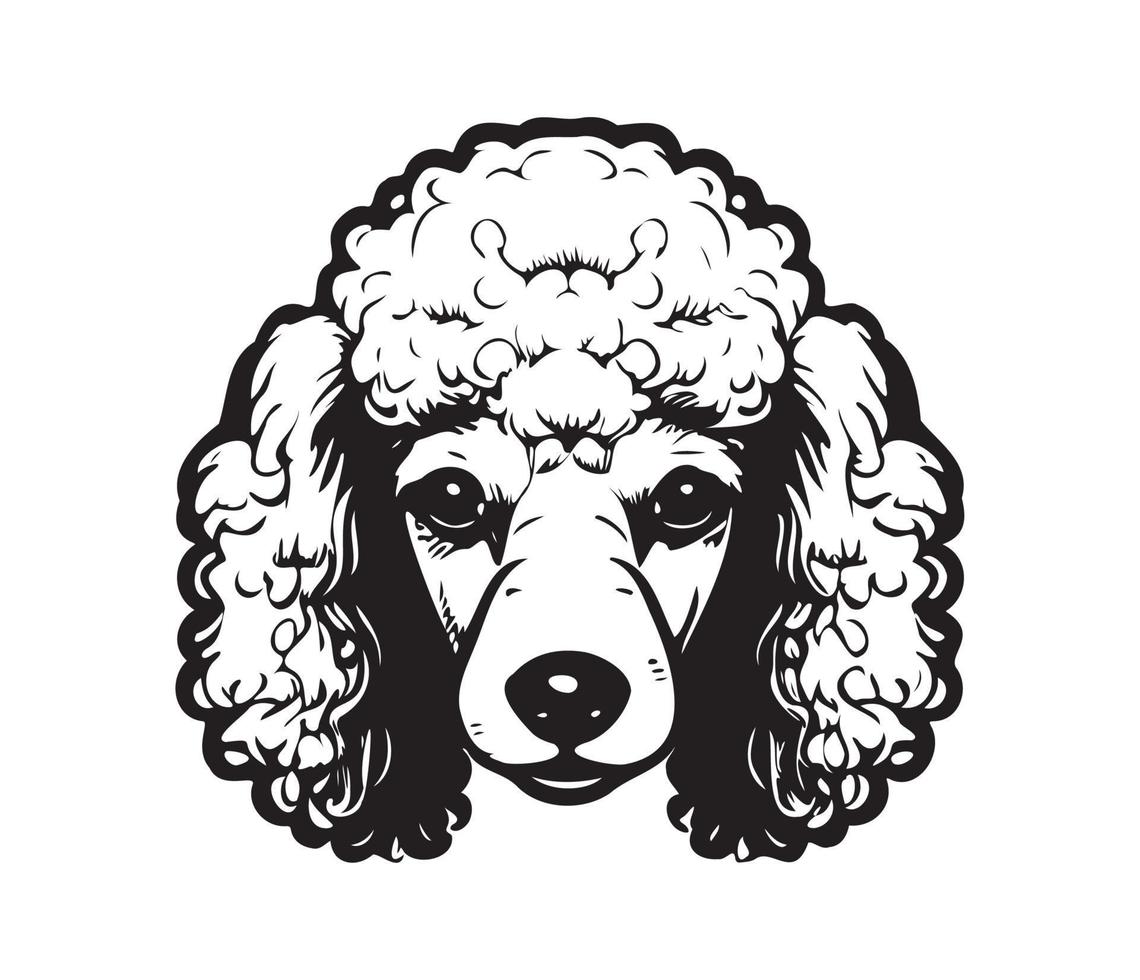 Poodle Face, Silhouette Dog Face, black and white Poodle vector