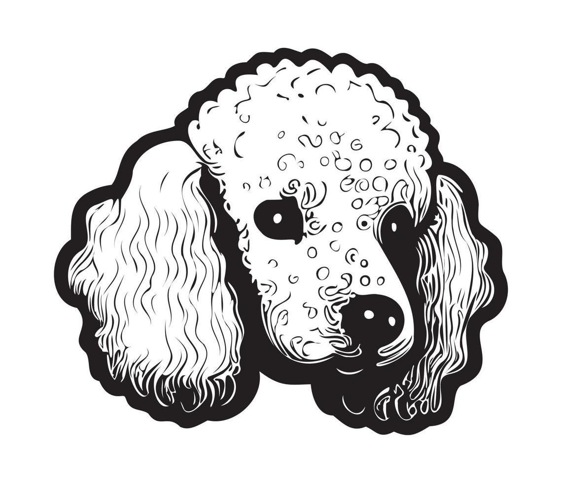 Poodle Face, Silhouette Dog Face, black and white Poodle vector