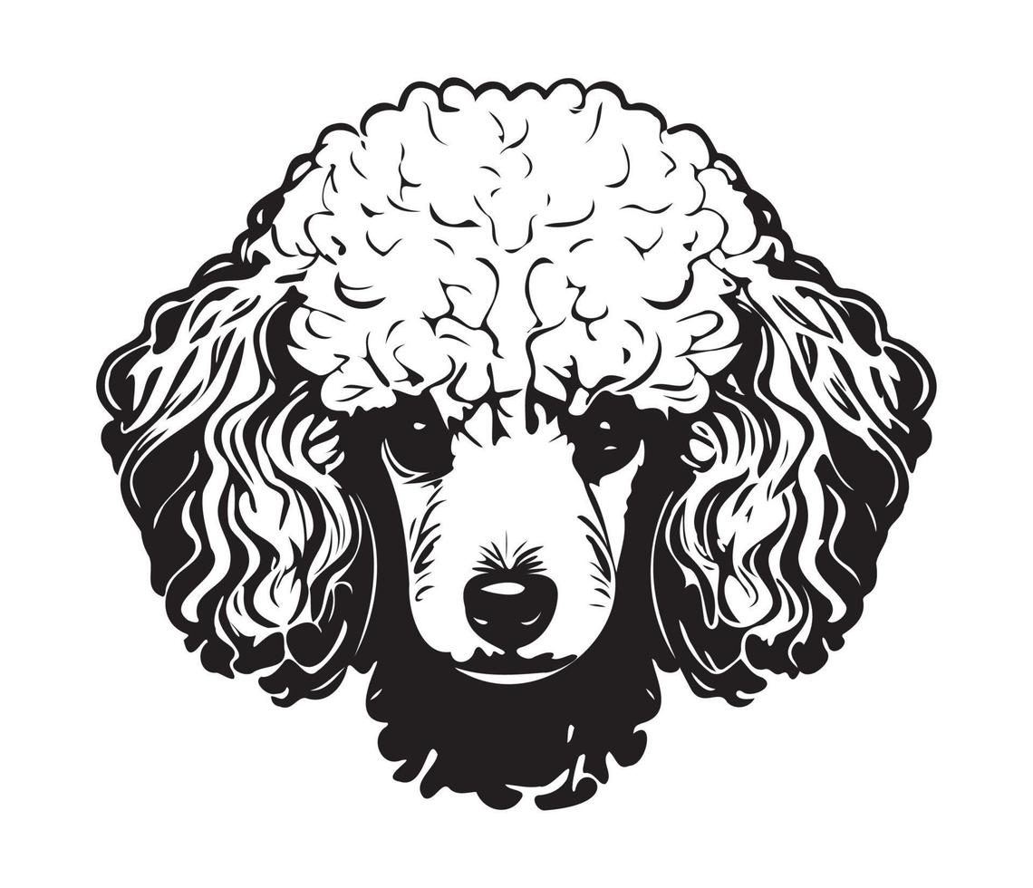 Poodle Face, Silhouette Dog Face, black and white Poodle vector