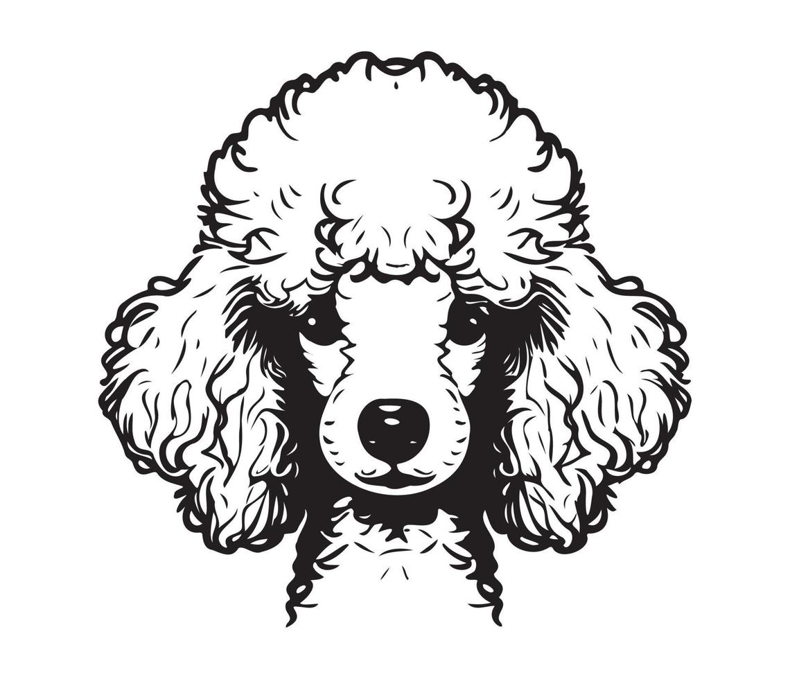 Poodle Face, Silhouette Dog Face, black and white Poodle vector