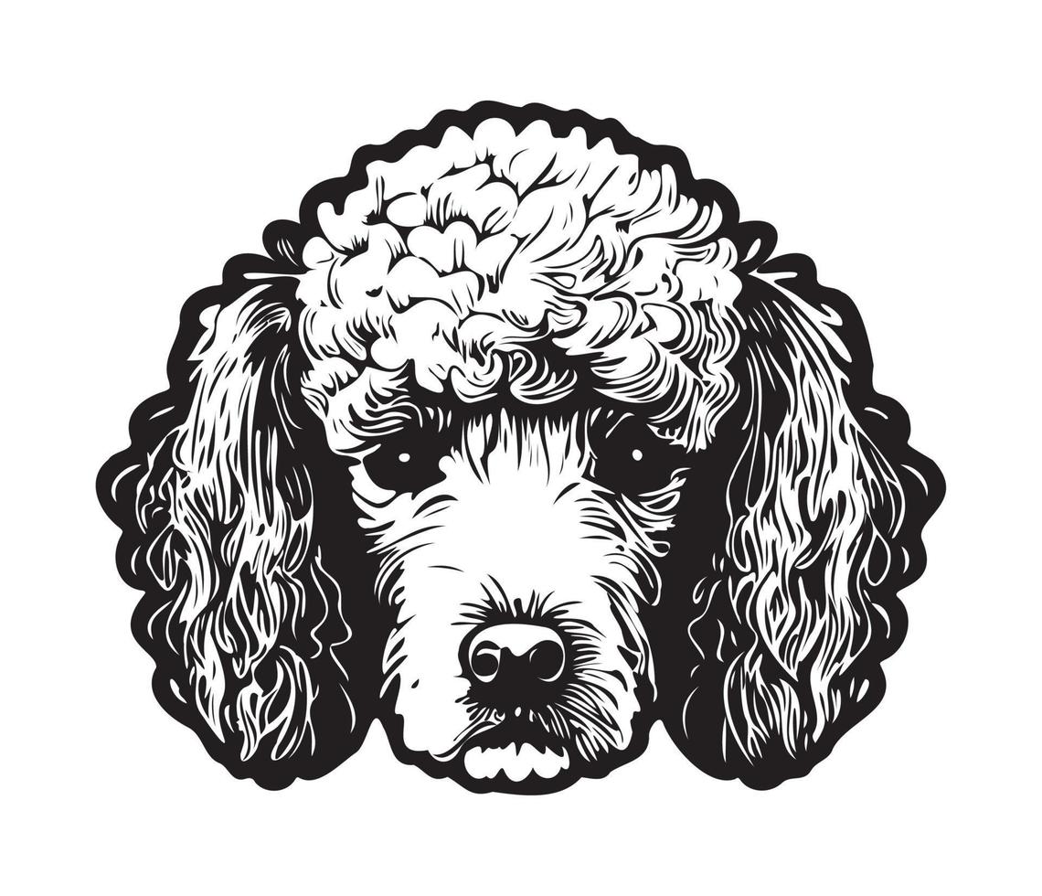 Poodle Face, Silhouette Dog Face, black and white Poodle vector