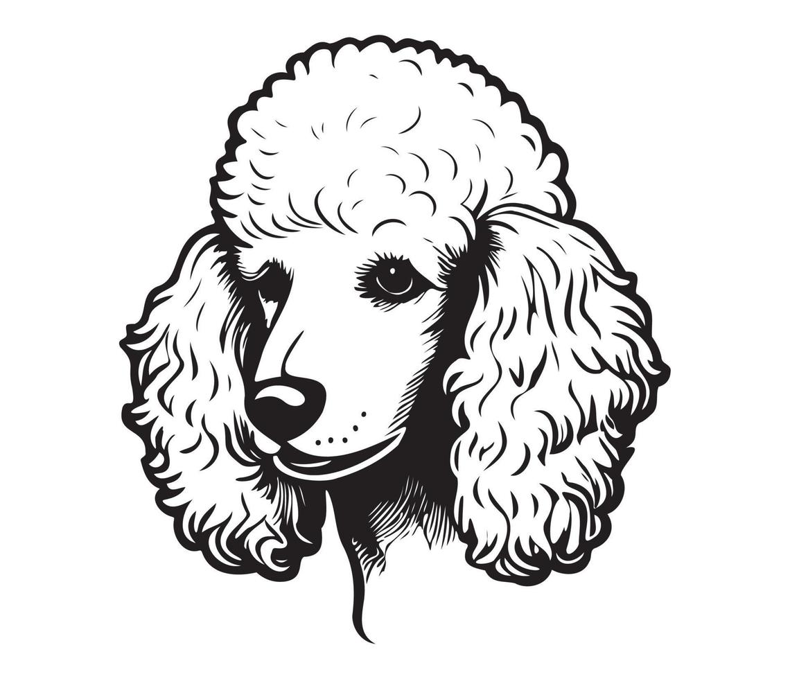 Poodle Face, Silhouette Dog Face, black and white Poodle vector