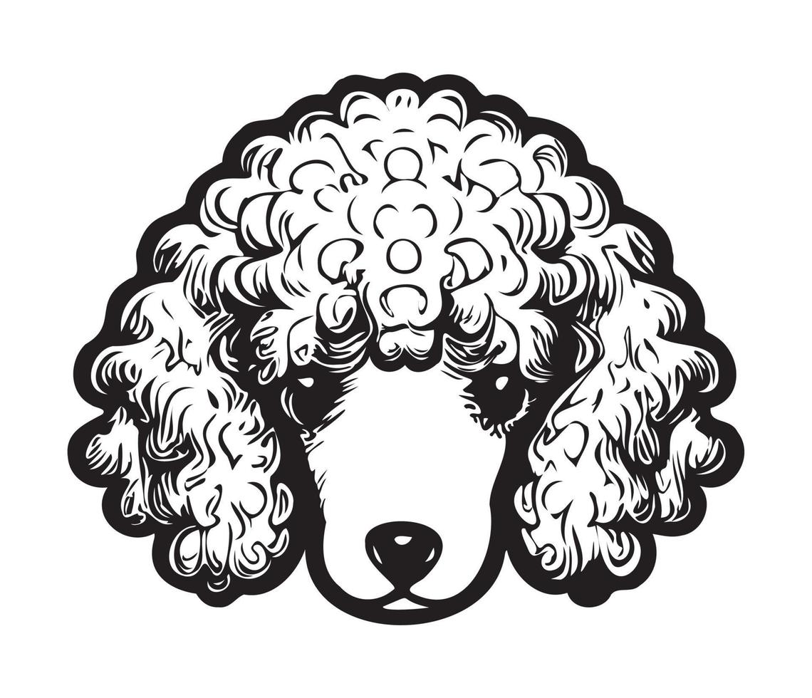 Poodle Face, Silhouette Dog Face, black and white Poodle vector