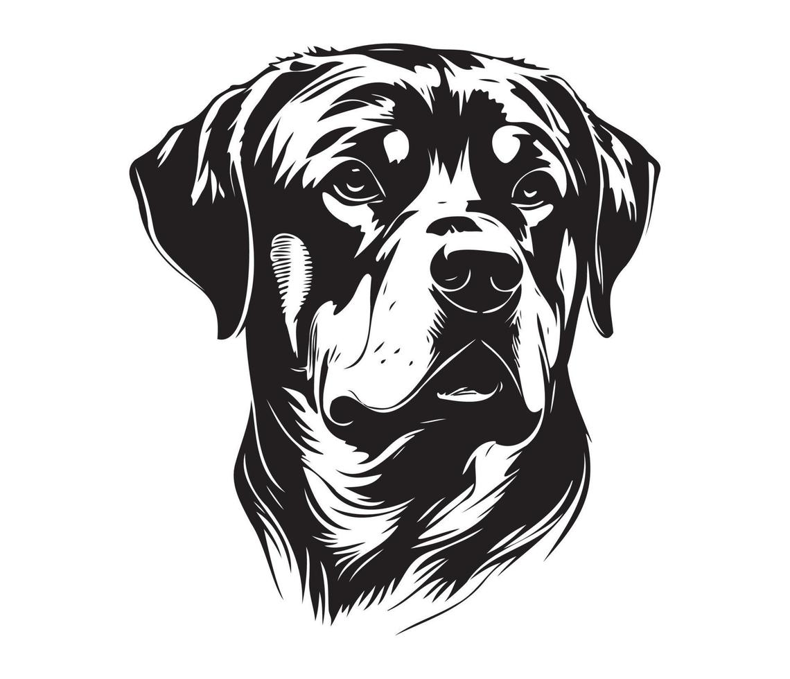 Rottweiler Face, Silhouette Dog Face, black and white Rottweiler vector