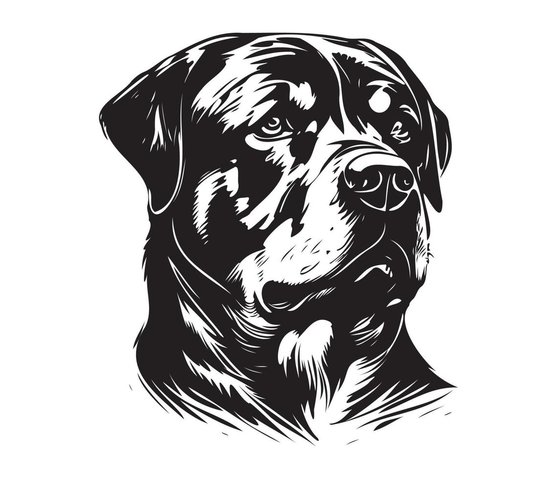 Rottweiler rostro, silueta perro rostro, negro y blanco Rottweiler vector