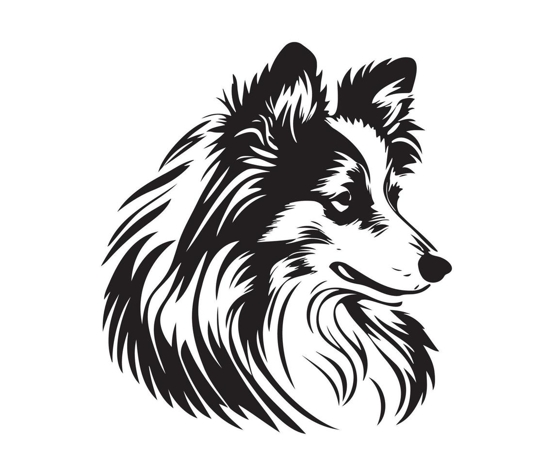 Shetland sheepdog Face, Silhouette Dog Face, black and white Shetland sheepdog vector