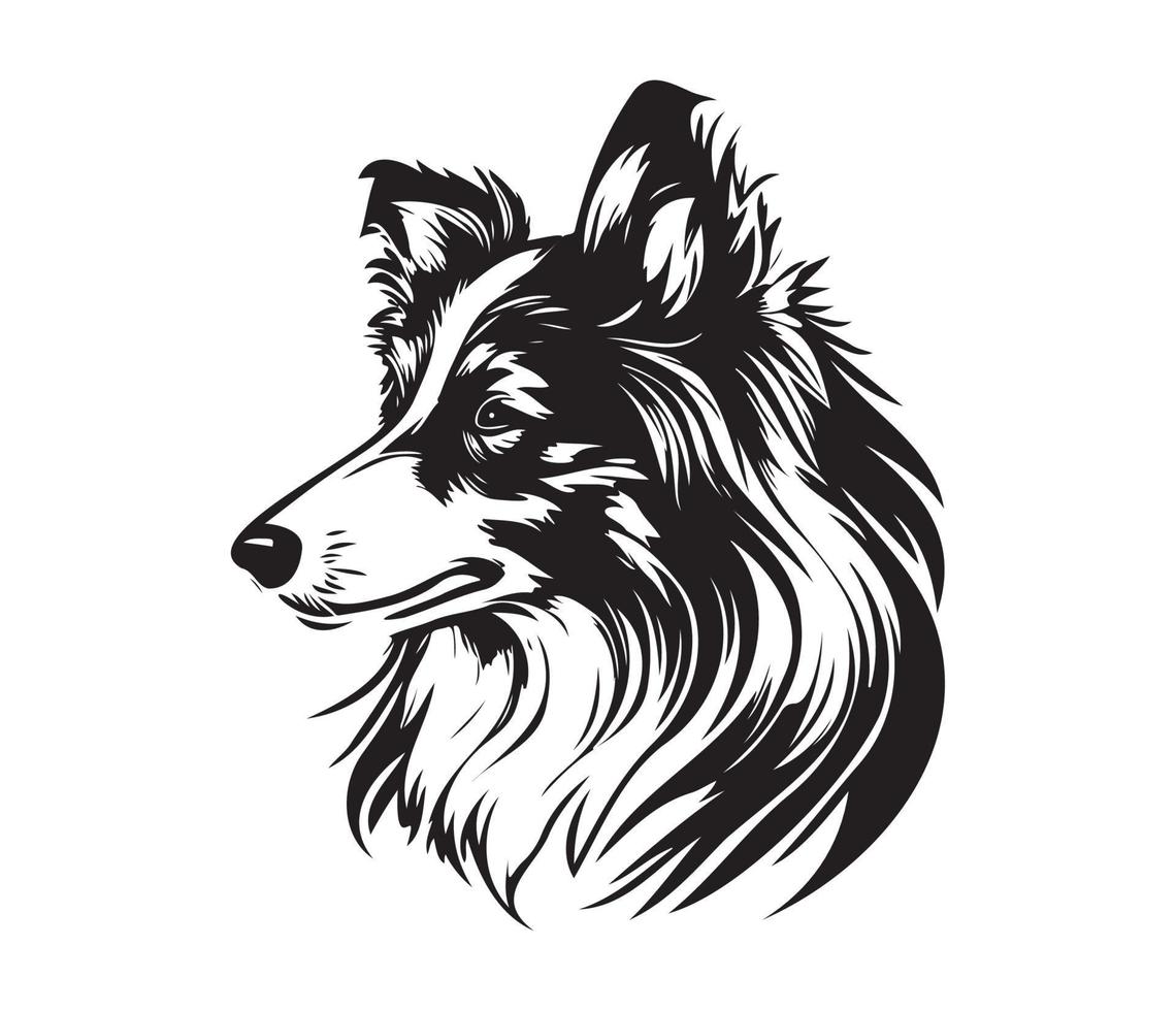 Shetland sheepdog Face, Silhouette Dog Face, black and white Shetland sheepdog vector