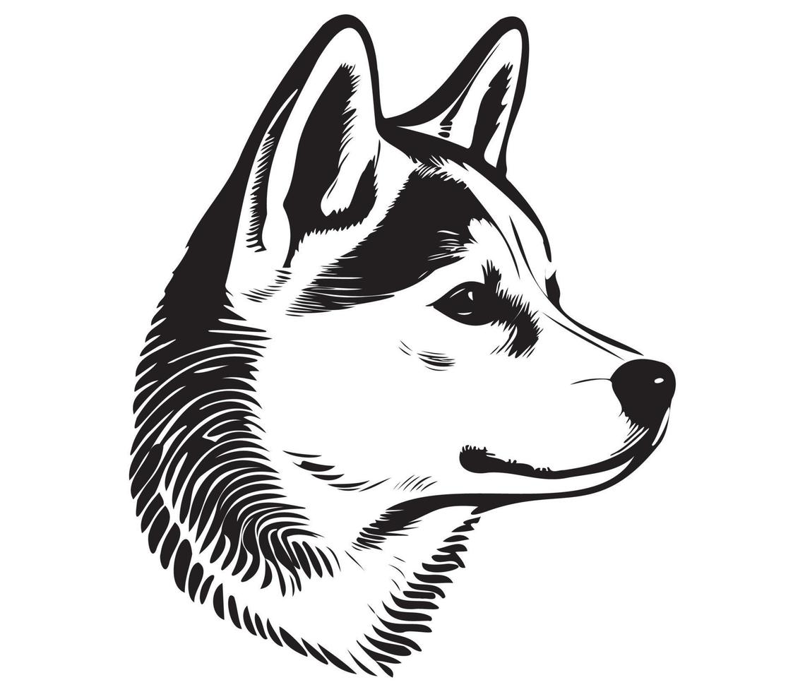 shiba inu rostro, silueta perro rostro, negro y blanco shiba inu vector