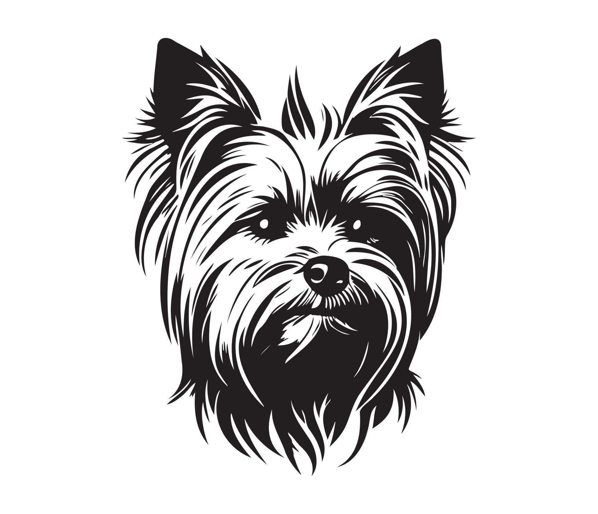 Yorkshire Terrier Face, Silhouette Dog Face, black and white Yorkshire ...