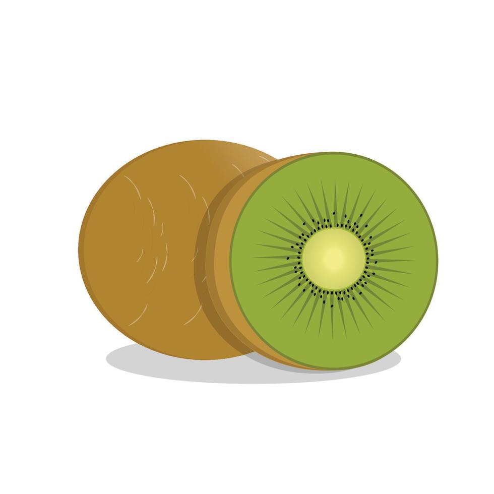 green color kiwi fruit vector illustration