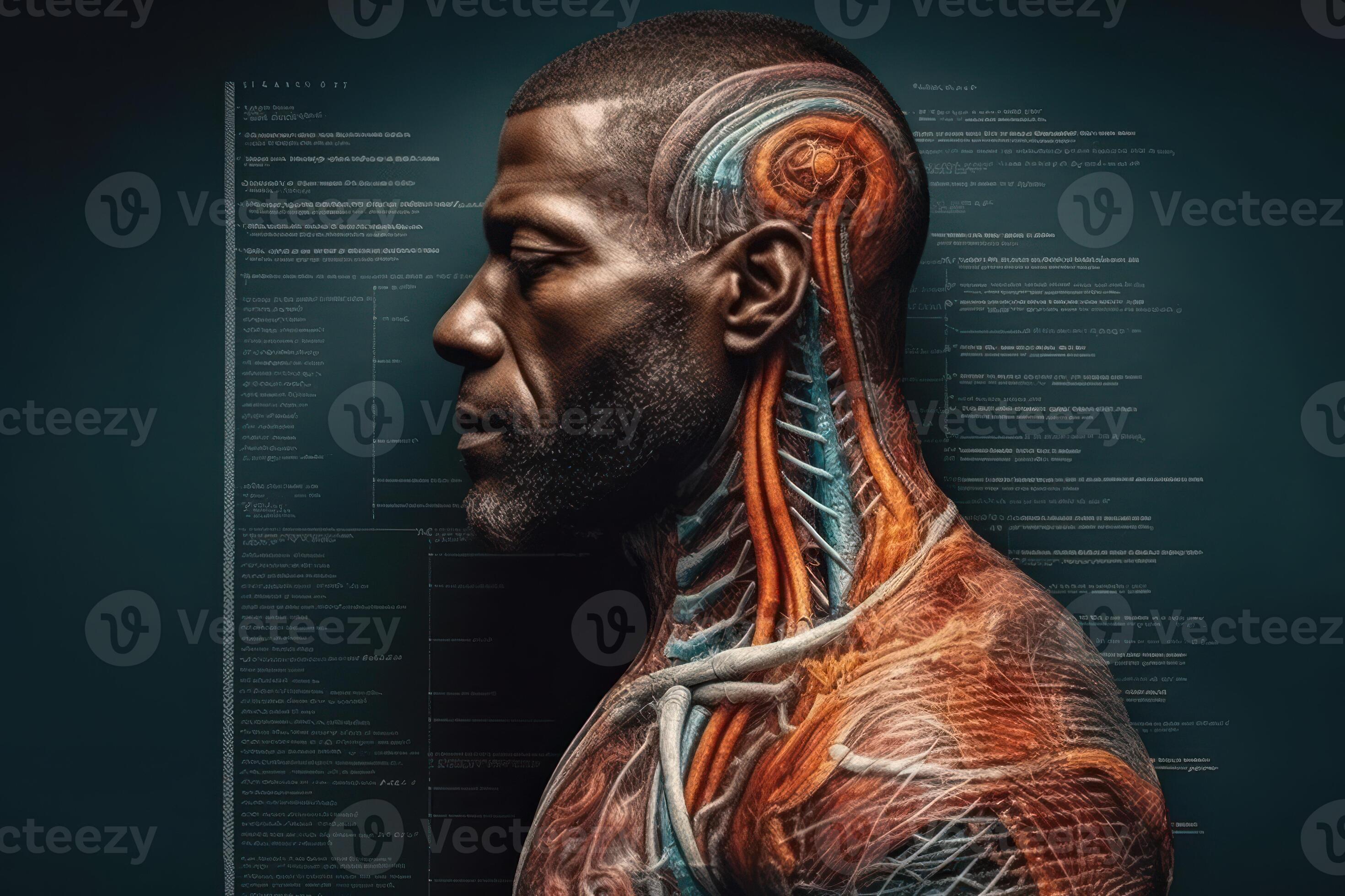 Human anatomy showcasing male muscles with nerves, isolated on black