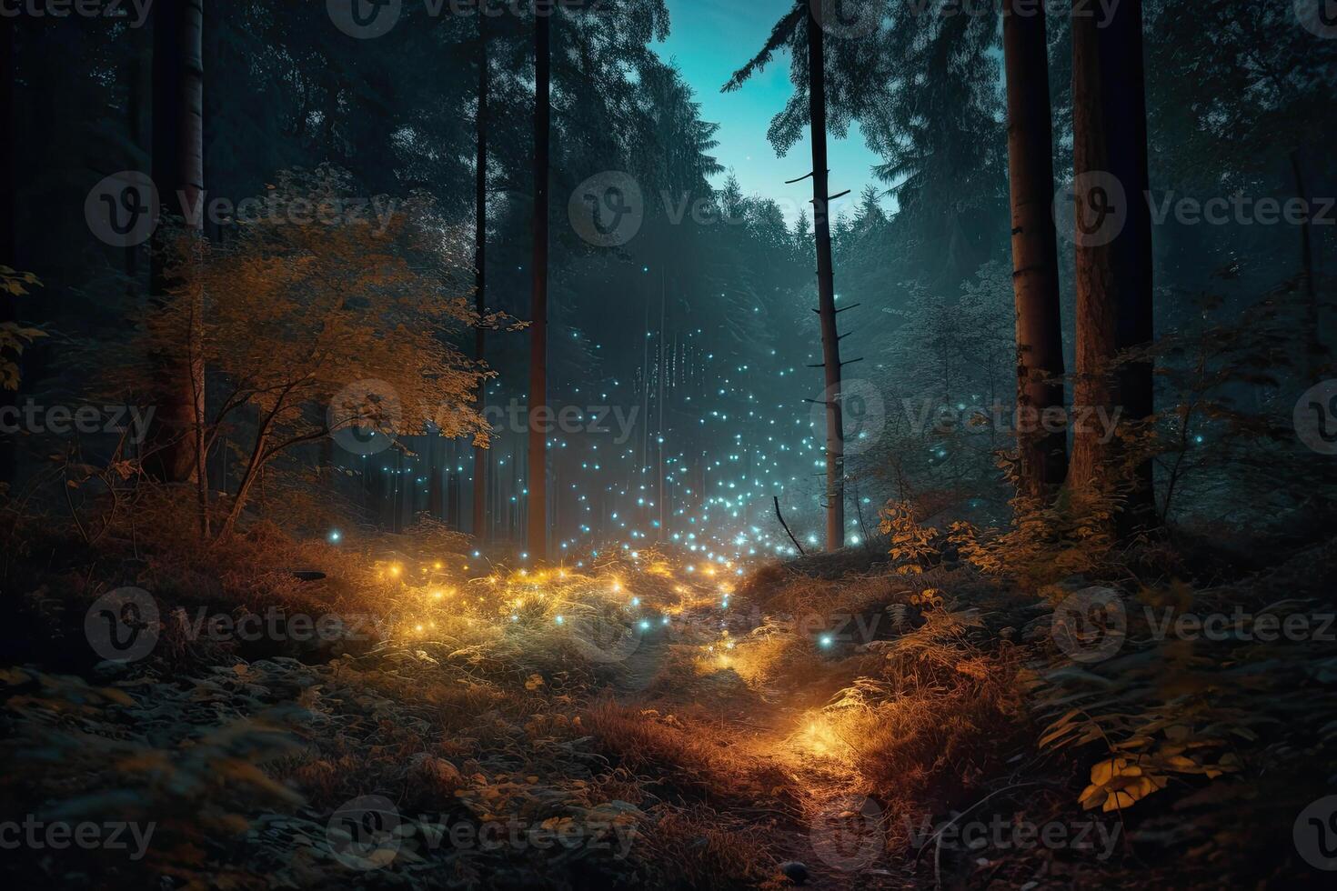 Fantasy magical forest with glowing lights. photo