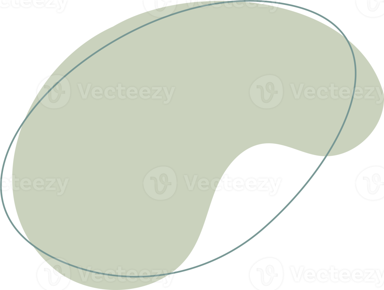 vert biologique forme. abstrait amibe taches dans minimal branché conception avec contour cercles. formes pour affiche récit cadres png