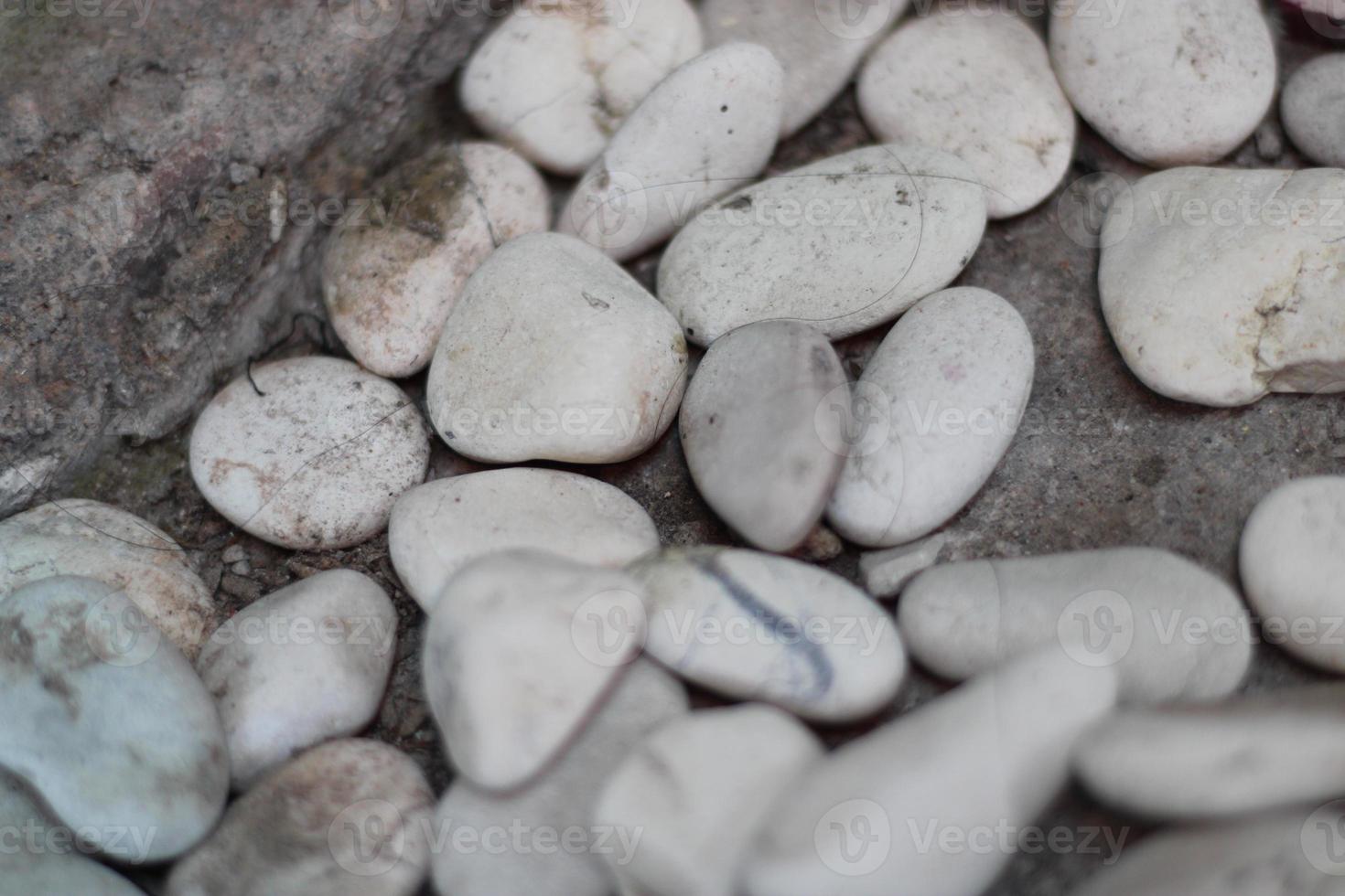 irregular clusters of white stones photo