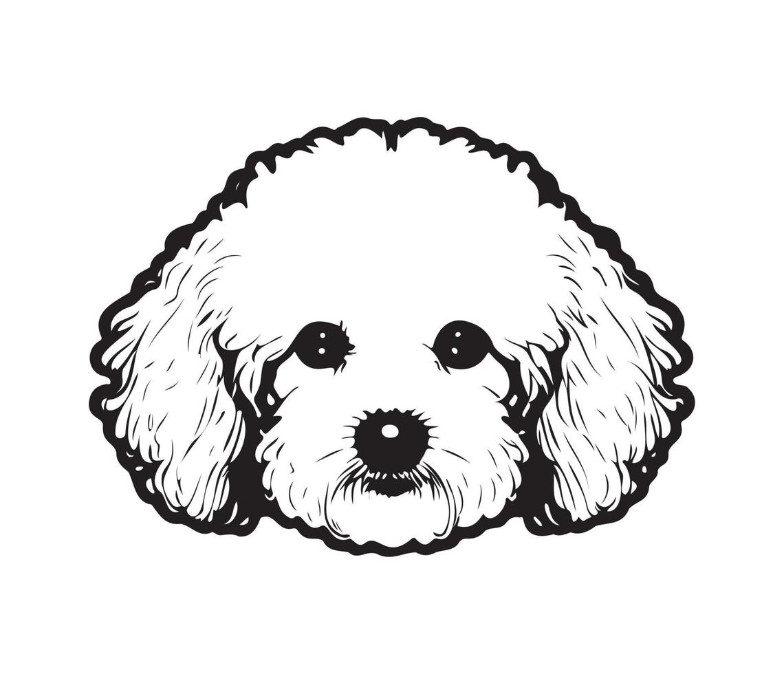 bichón frise rostro, silueta perro rostro, negro y blanco bichón frise vector