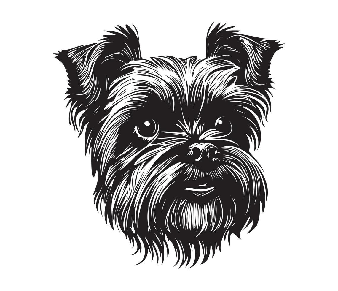 affenpinscher rostro, siluetas perro rostro, negro y blanco affenpinscher vector