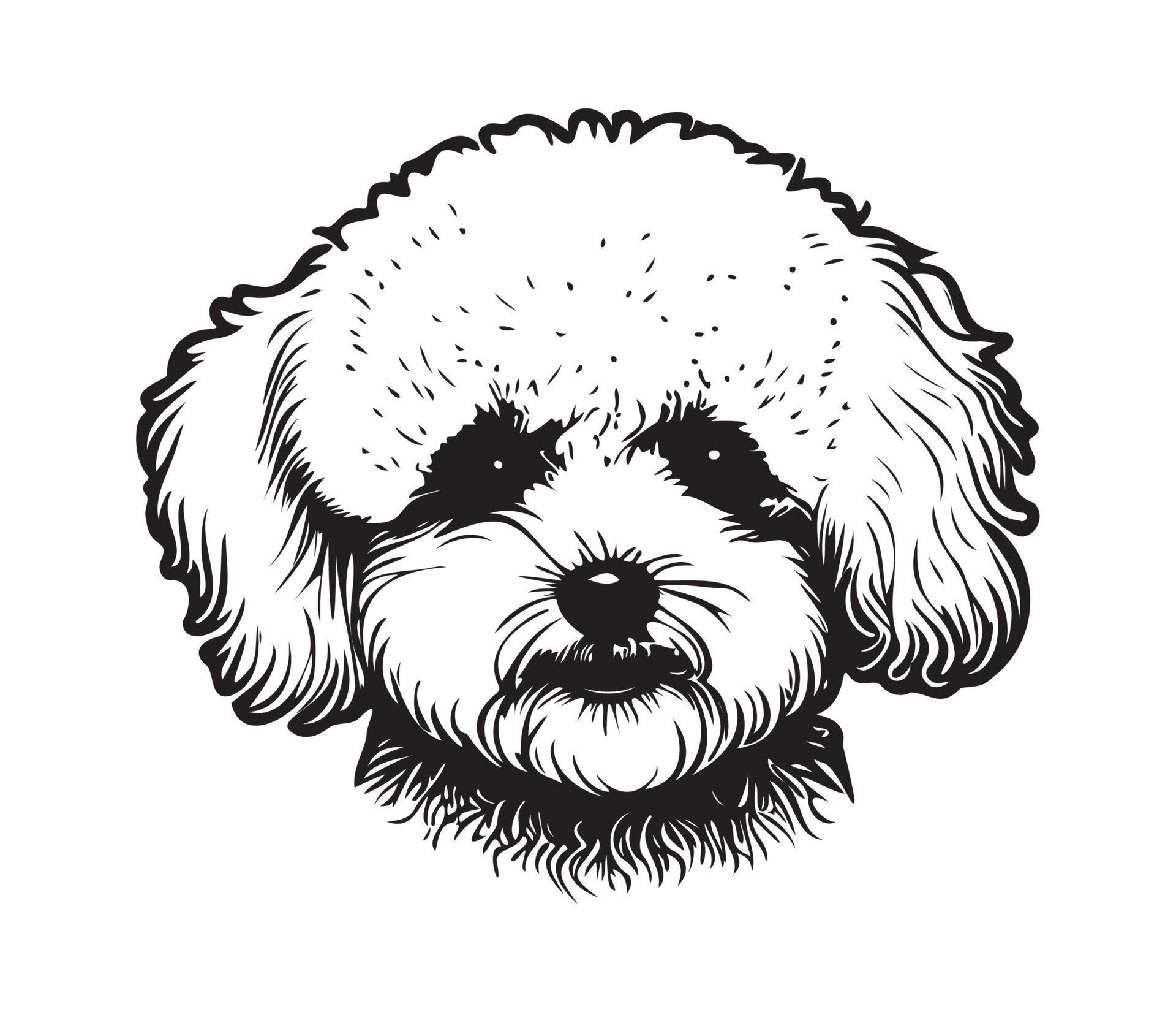 Bichon Frise Face, Silhouette Dog Face, black and white Bichon Frise