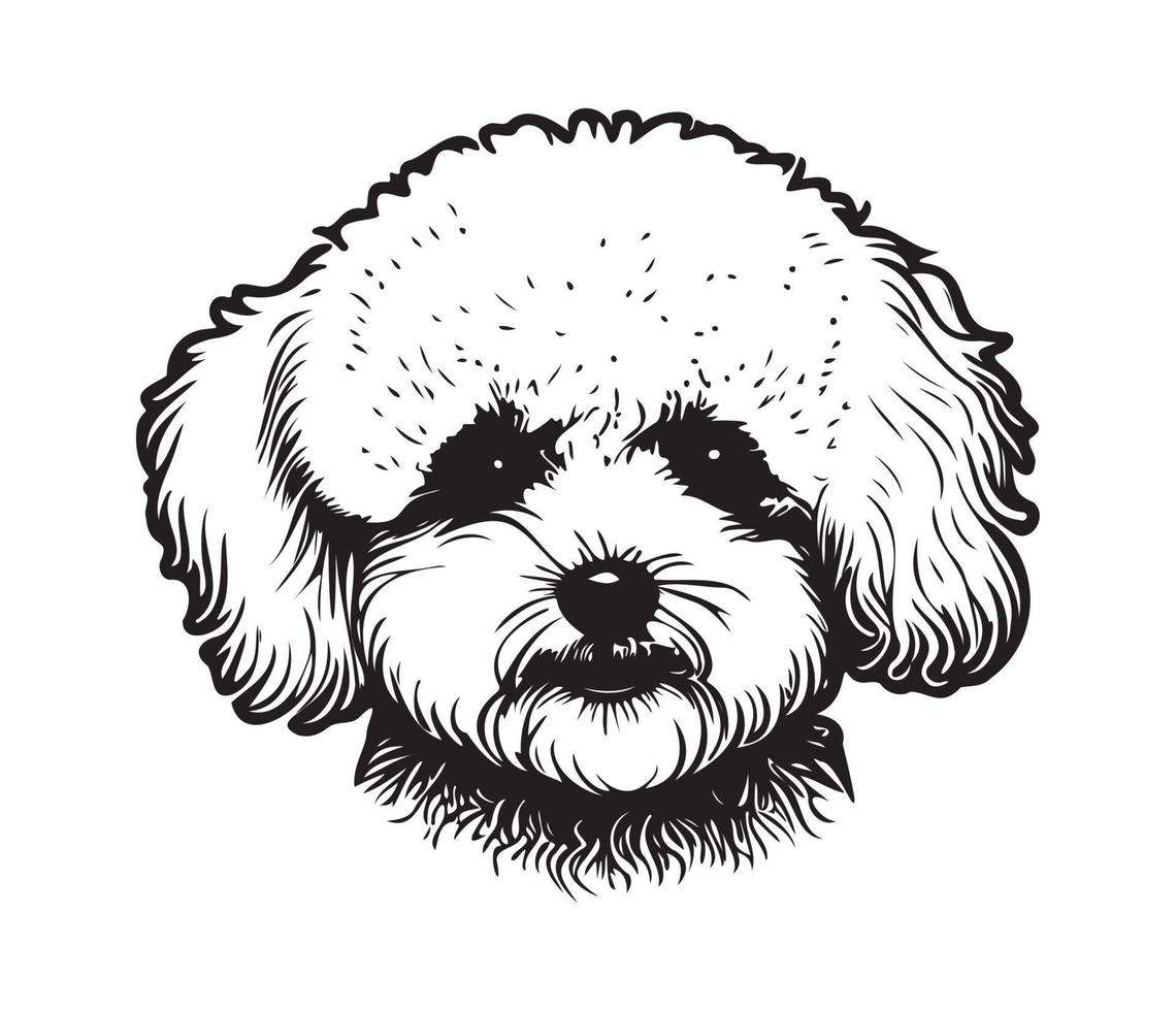 bichón frise rostro, silueta perro rostro, negro y blanco bichón frise vector