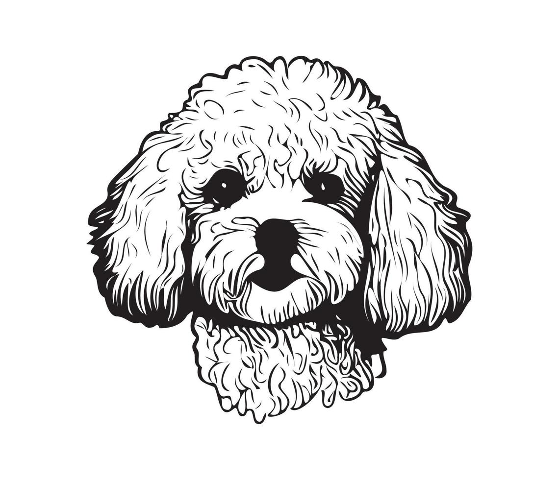 Bichon Frise Face, Silhouette Dog Face, black and white Bichon Frise vector