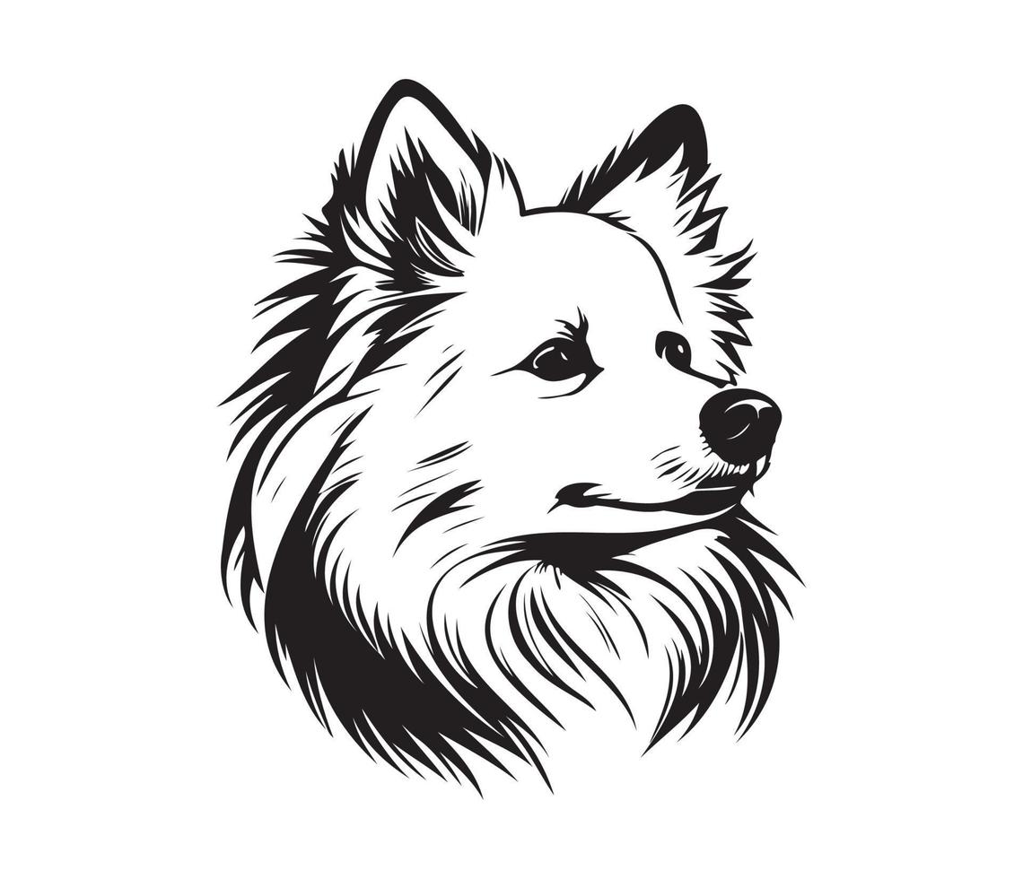 American Eskimo Dog Face, Silhouettes Dog Face, black and white American Eskimo Dog vector