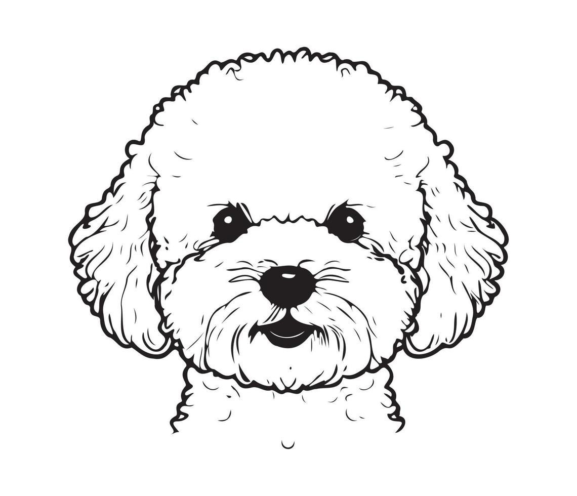 Bichon Frise Face, Silhouette Dog Face, black and white Bichon Frise vector