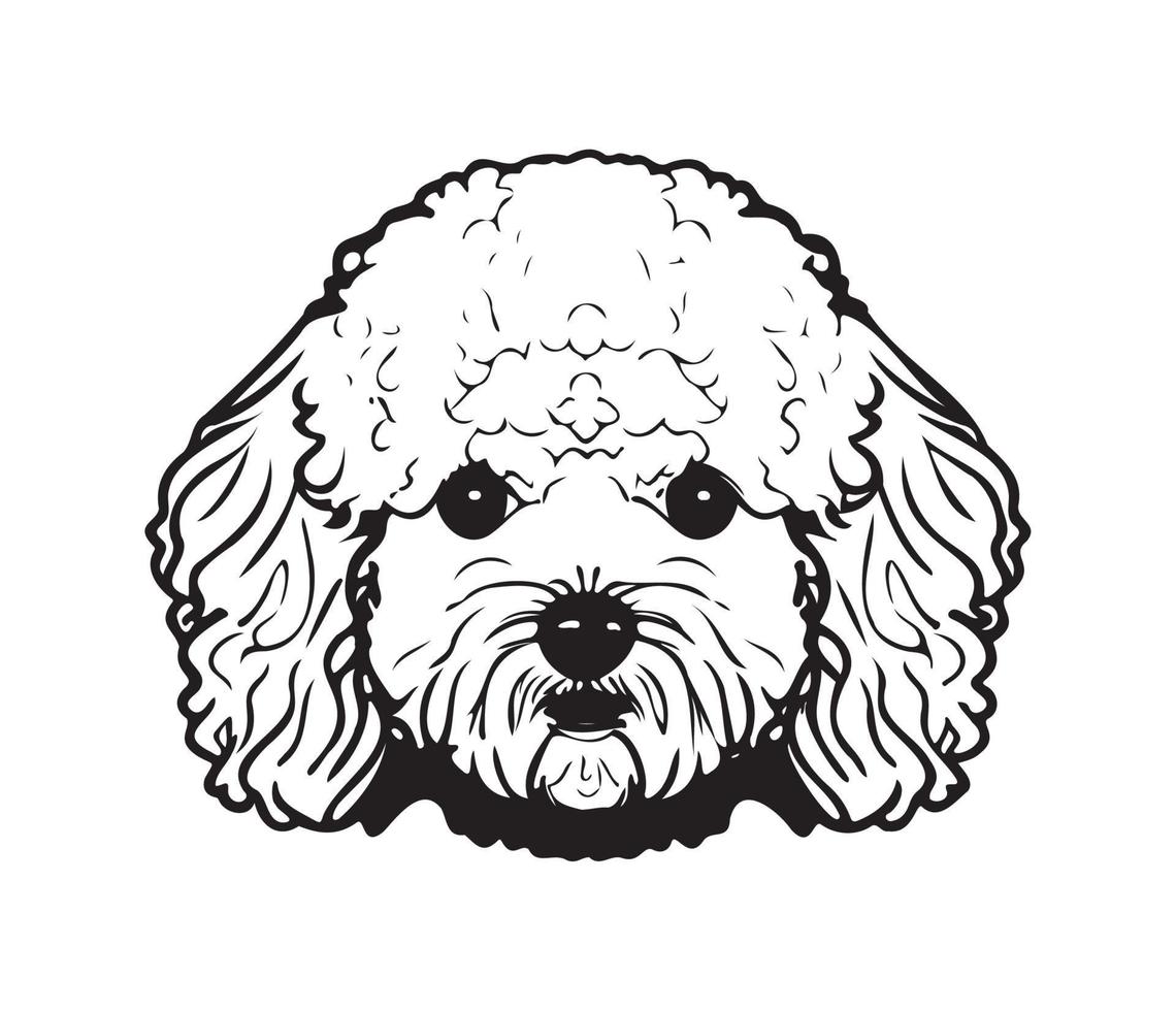 Bichon Frise Face, Silhouette Dog Face, black and white Bichon Frise vector