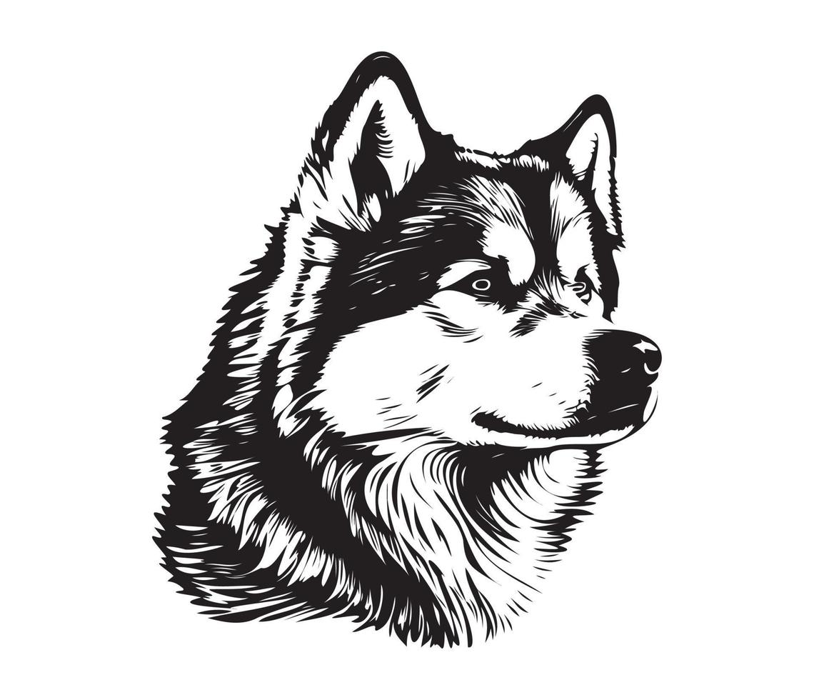 Alaskan Malamute Face, Silhouettes Dog Face, black and white Alaskan Malamute vector